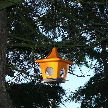 Les 2 Du Clos De La Vigne Montreuil (Pays de la Loire)